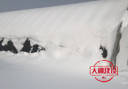 大雪對(duì)溫室大棚影響危害怎么處理