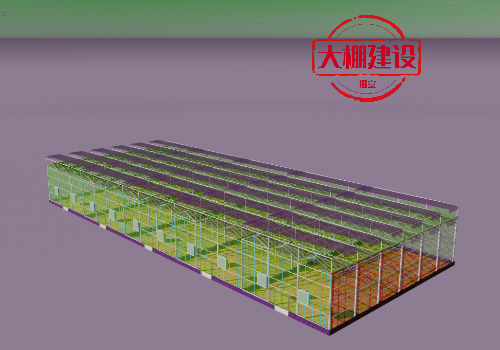 新型大棚蔬菜建設(shè)后注意的問(wèn)題